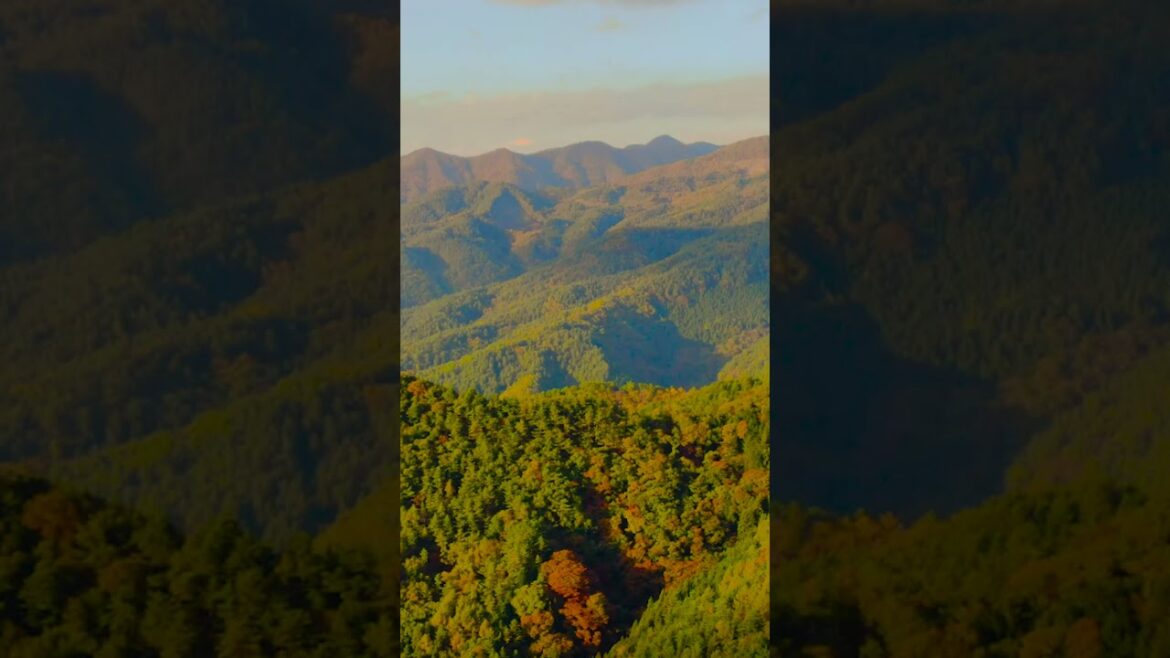 Stunning autumn mountains in Kawaguchi near mount Fuji | Amazing Japan Travel Adventure Documentary Stunning autumn mountains in Kawaguchi near mount Fuji | Amazing Japan Travel Adventure Documentary