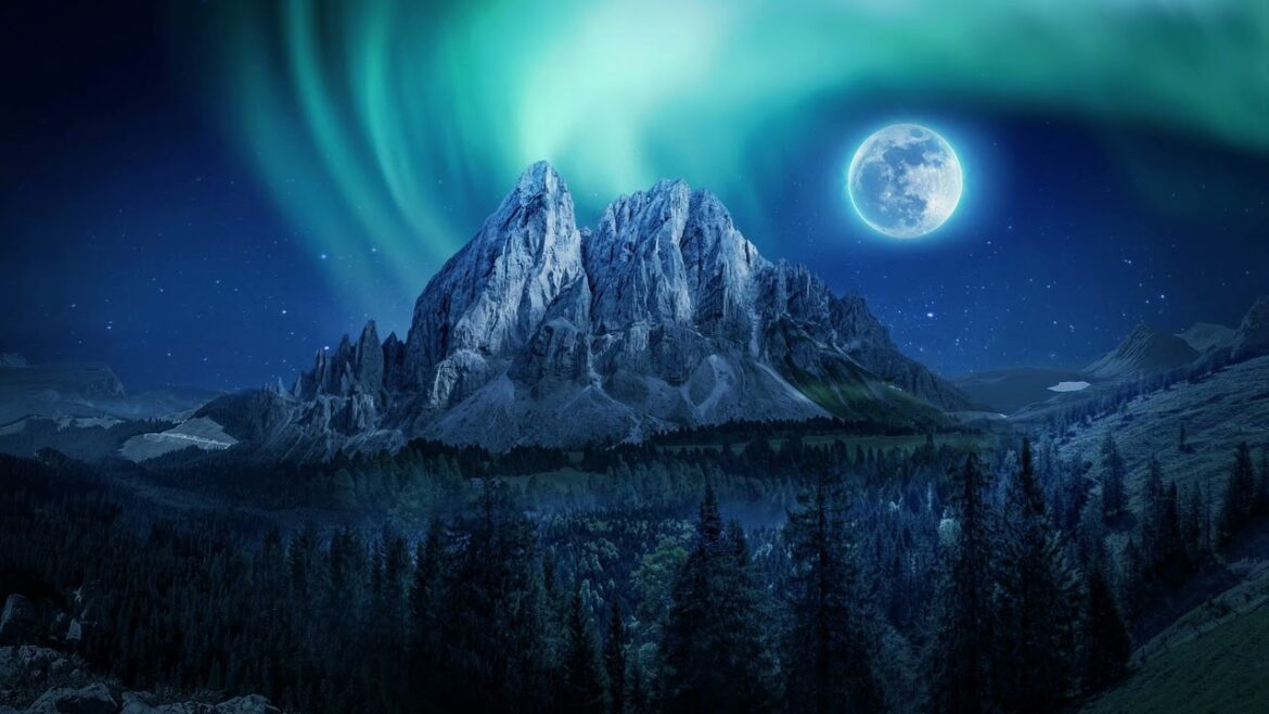 Relaxing Sleep and Night Nature Sounds | Soft Cricket Sound Relaxing Sleep and Night Nature Sounds | Soft Cricket Sound