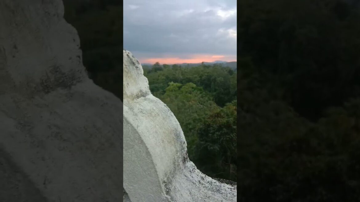 #shorts 👆💕 Eco-Friendly Tour of Sri Lanka’s Mountains #youtubeshorts #travel #shorts 👆💕 Eco-Friendly Tour of Sri Lanka's Mountains #youtubeshorts #travel