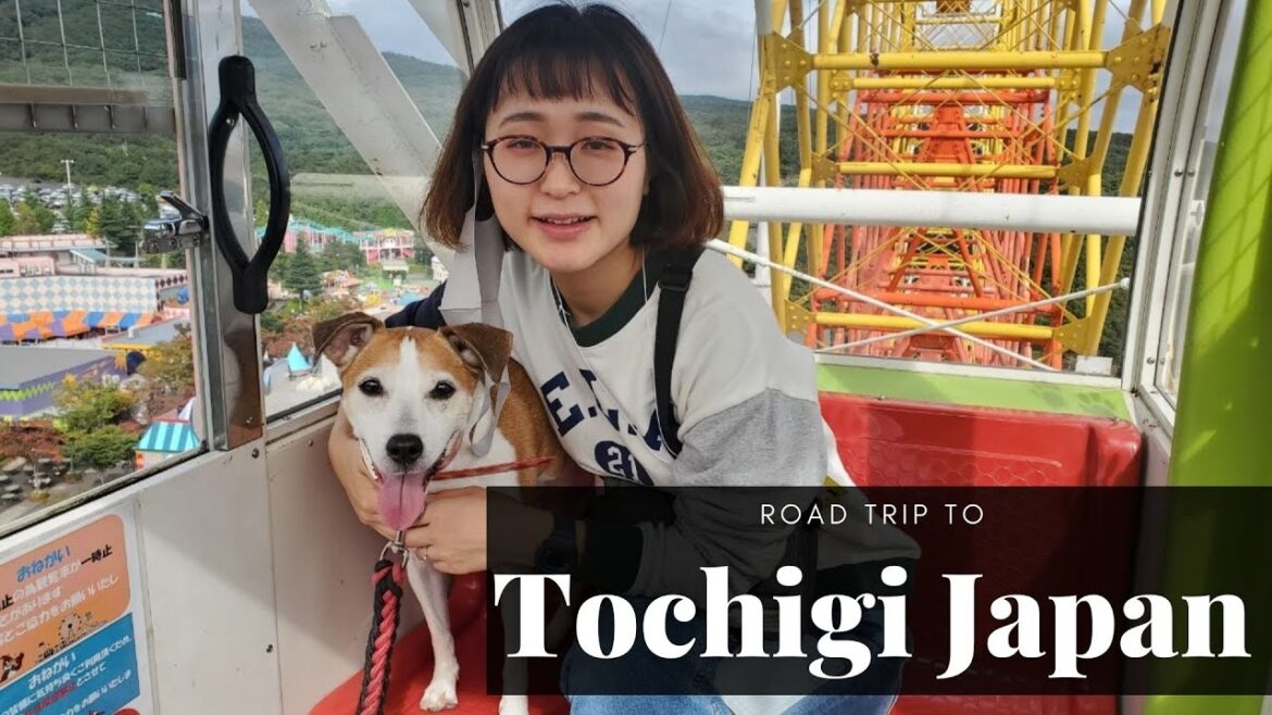 Road Trip To Beautiful Tochigi Japan 4K | Japanese Woman & Canadian Man [and Maple the dog]