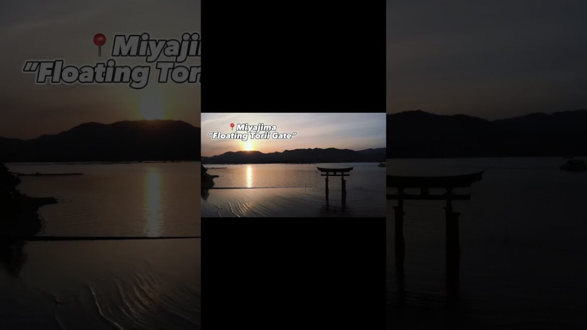 Discovery the magic of Japan: MUST visit destinations!👀