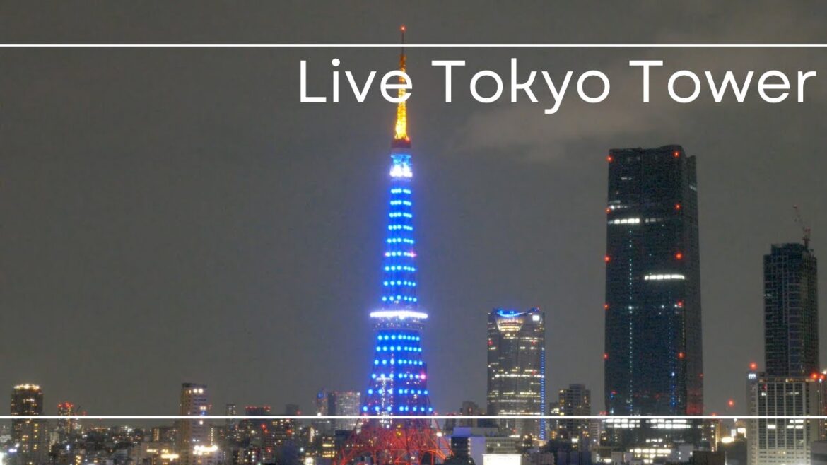 4K LIVE ブルーライトアップの東京タワーと麻布台ヒルズ森JPタワー /Tokyo Tower and Roppongi Hills and Azabudai Hills 2023.4.2-3 4K LIVE ブルーライトアップの東京タワーと麻布台ヒルズ森JPタワー /Tokyo Tower and Roppongi Hills and Azabudai Hills 2023.4.2-3