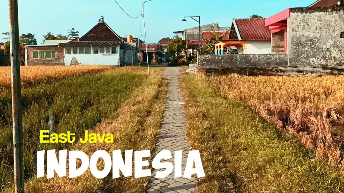 Cycling Around the Village | The Beauty of Nature and Indonesian Houses | ASMR | Day 119