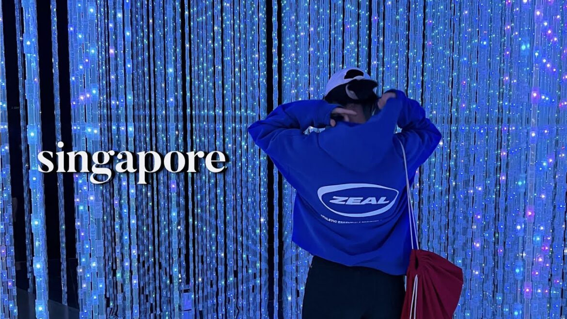 a day in singapore | travel vlog (art science museum & cloud forest) 🌳 a day in singapore | travel vlog (art science museum & cloud forest) 🌳