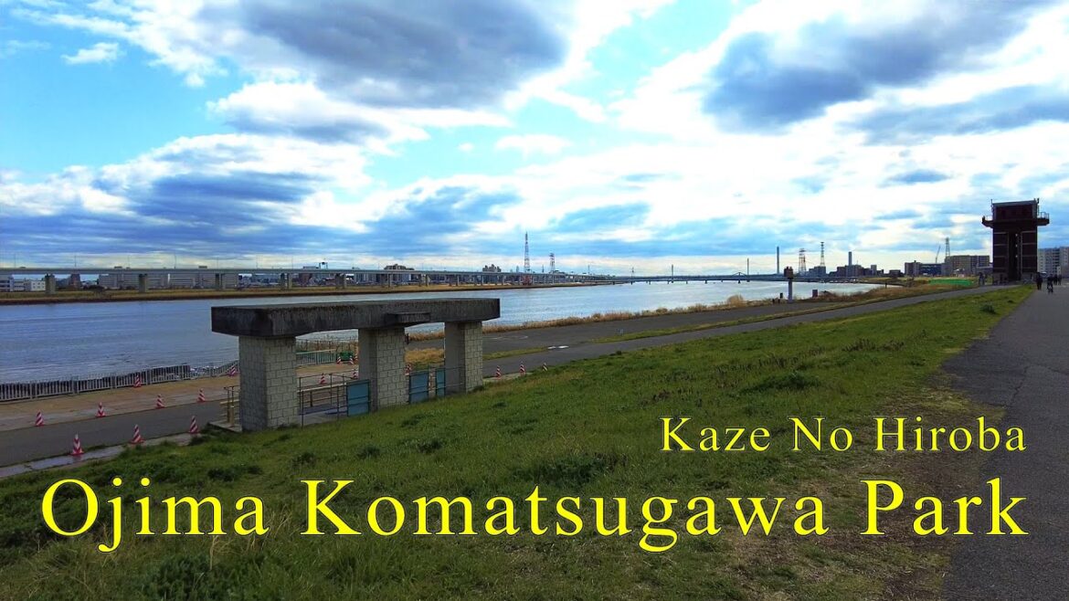 Ojima Komatsugawa Park Kaze No Hiroba (Tokyo, Japan) 4K