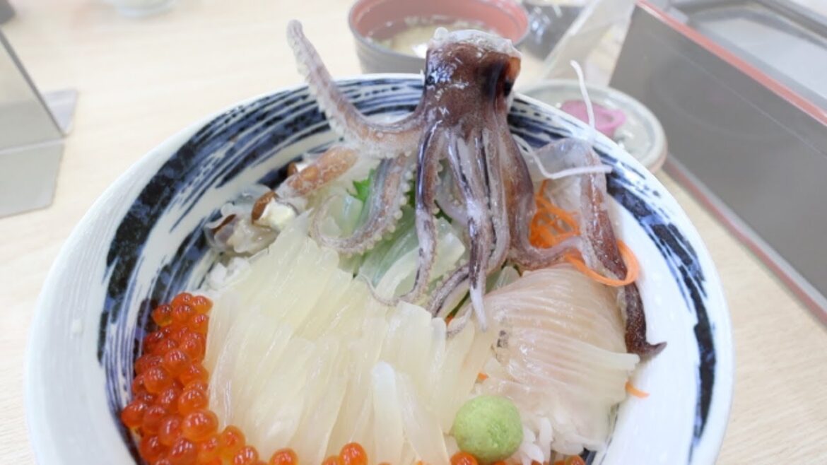 DANCING SQUID: watch them come ALIVE on your bowl!