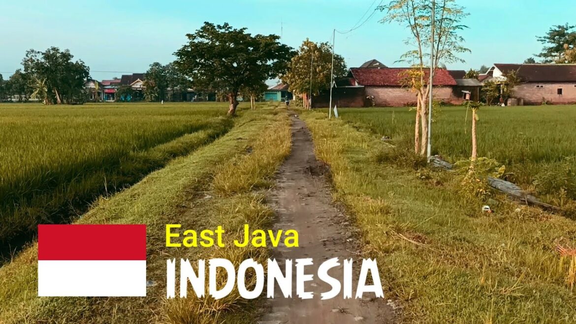 Cycling Around the Village | The Beauty of Nature and Indonesian Houses | ASMR | Day 117
