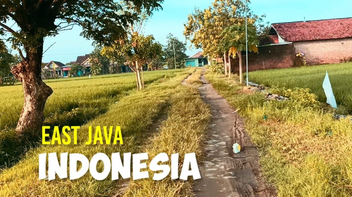 Cycling Around the Village | The Beauty of Nature and Indonesian Houses | ASMR | Day 118