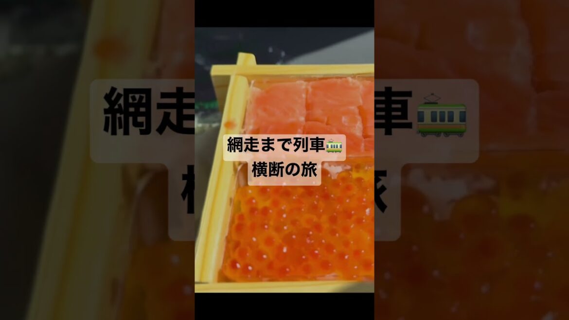 網走まで北海道をJRで横断してみた