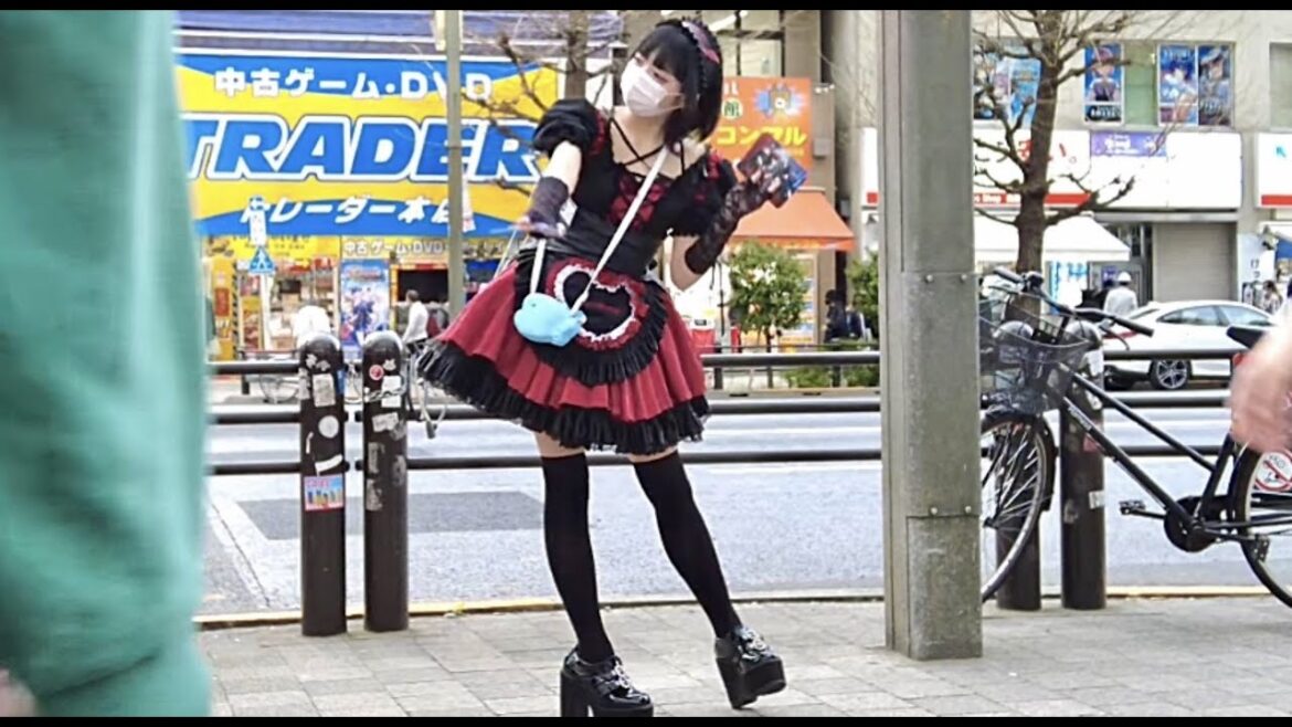 Akihabara is a treasure trove of cute maids.