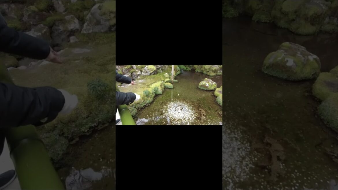 Ginkakuji Temple in Kyoto, Japan🎥 #shorts #012