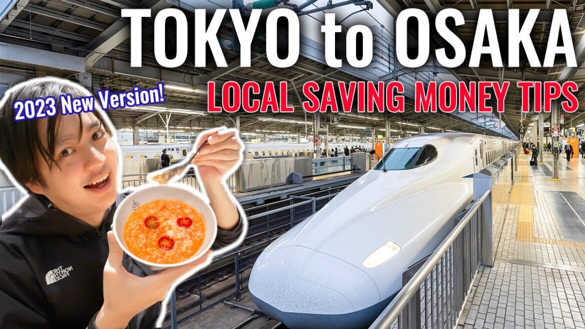 Not Only JR Rail Pass, Local Ways to Save Money! Going back to my Hometown! Ep. 394