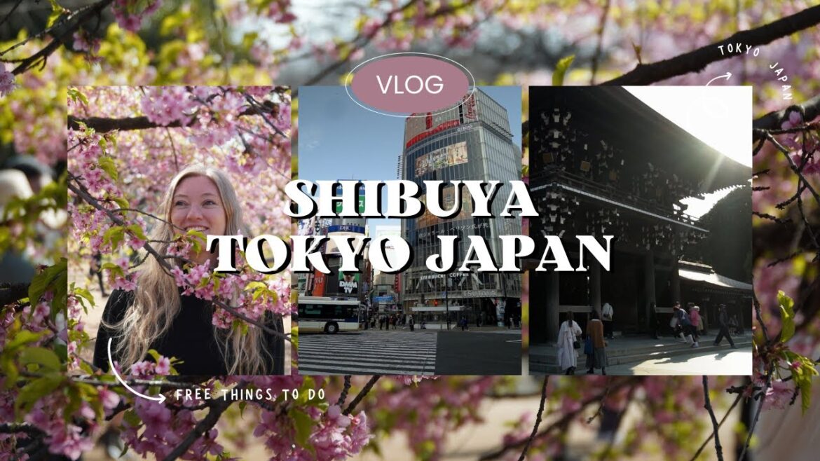 What to do for free in Tokyo Japan vlog 2023 | Shibuya City and Harajuku