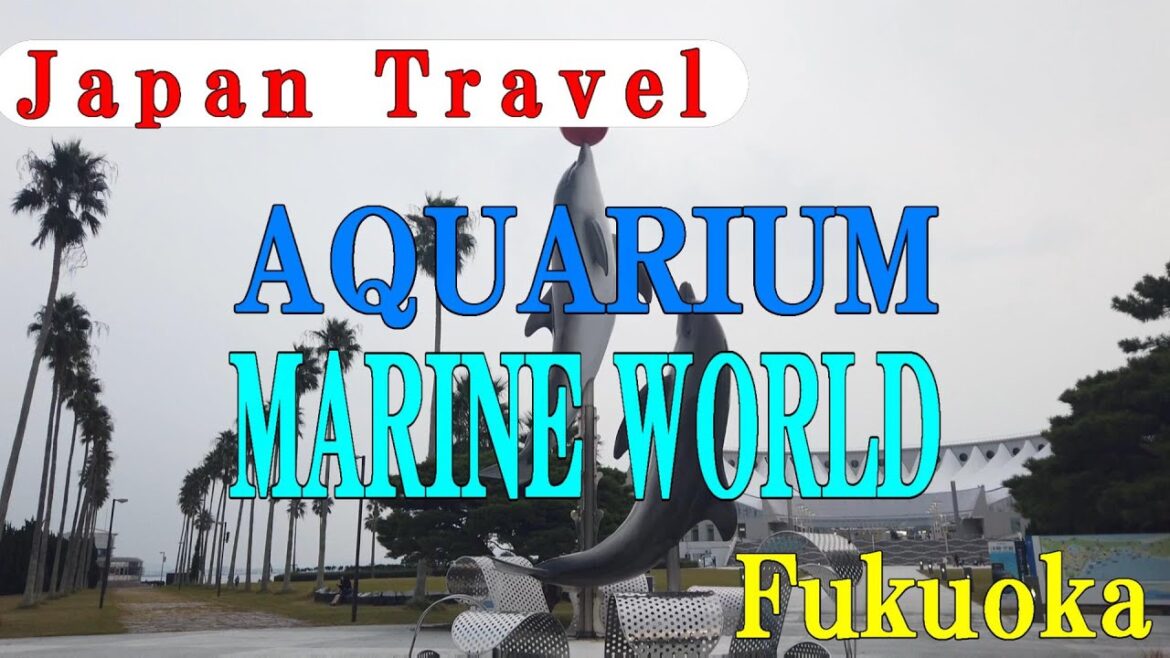 JAPAN TRAVEL-fukuoka-Aquarium Marine World