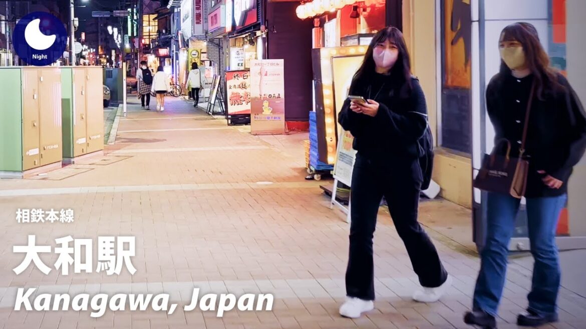 ⁴ᴷ Kanagawa: Yamato Station (大和駅) – Japan Walking Tour (April, 2023) ⁴ᴷ Kanagawa: Yamato Station (大和駅) - Japan Walking Tour (April, 2023)