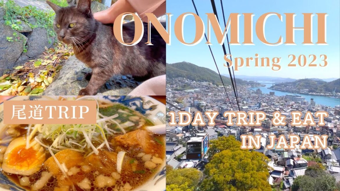[One Day Trip in Japan] Onomichi in Spring. A thousand cherry blossoms, retro townscape and cats. 尾道
