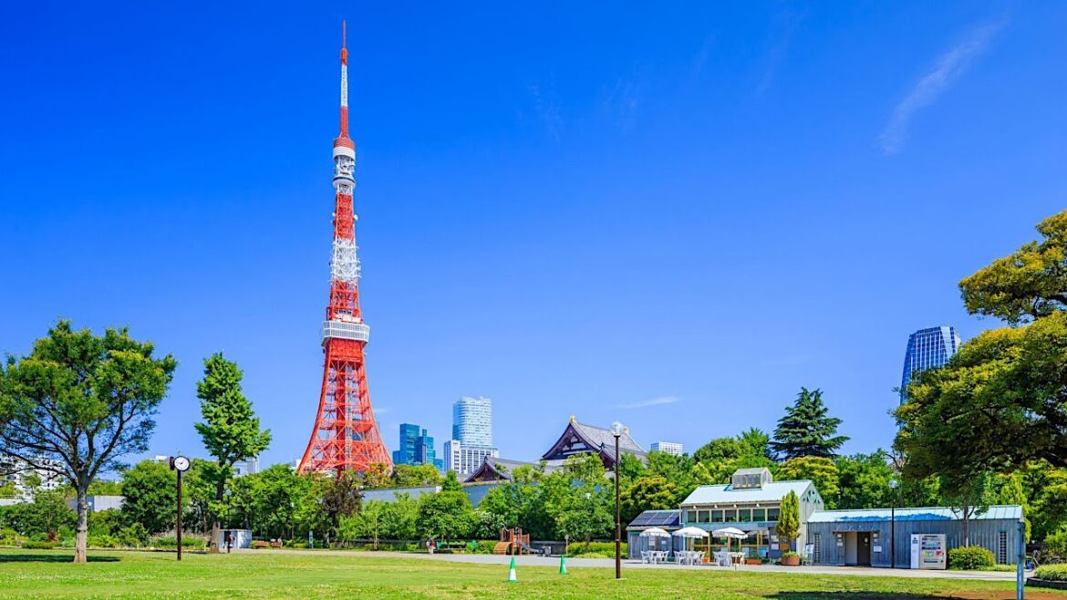 Tokyo Tower, Shiba Park, and More! | JAPAN LIVE STREAMS 2023 Tokyo Tower, Shiba Park, and More! | JAPAN LIVE STREAMS 2023