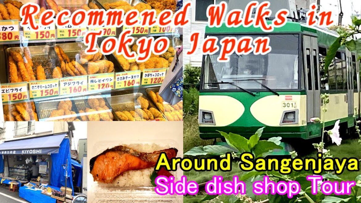 A tour of 1960s deli shops in popular spots in Tokyo Japan.also a lunch scene of a soba restaurant.