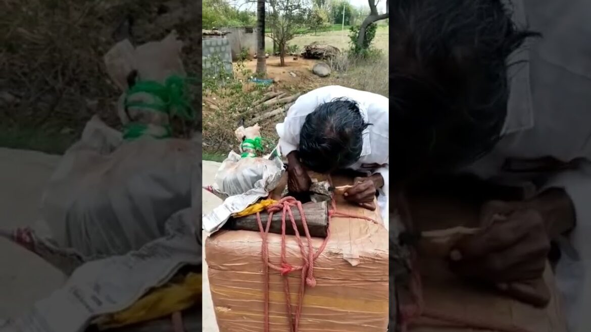 pulla ice very tasty|| #healthy #food #cookingfood #foodie #streetfood #beriyani #templefood #villa pulla ice very tasty|| #healthy #food #cookingfood #foodie #streetfood #beriyani #templefood #villa