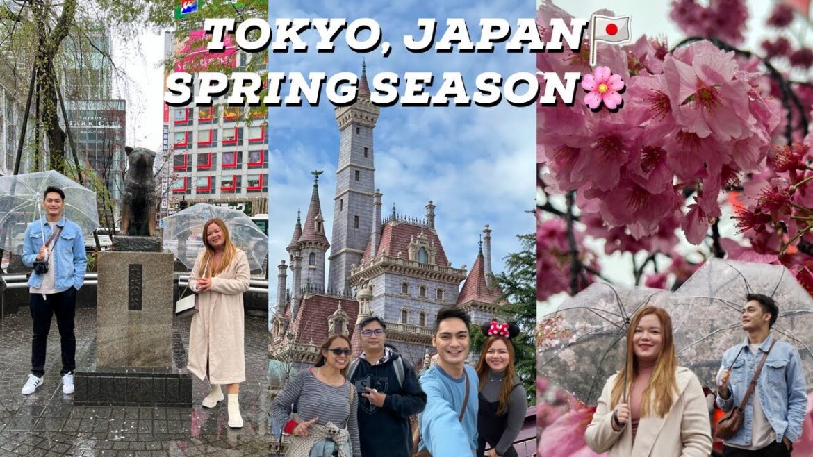 We finally made it to TOKYO, JAPAN!🇯🇵 Seeing CHERRY BLOSSOMS for the first time🌸