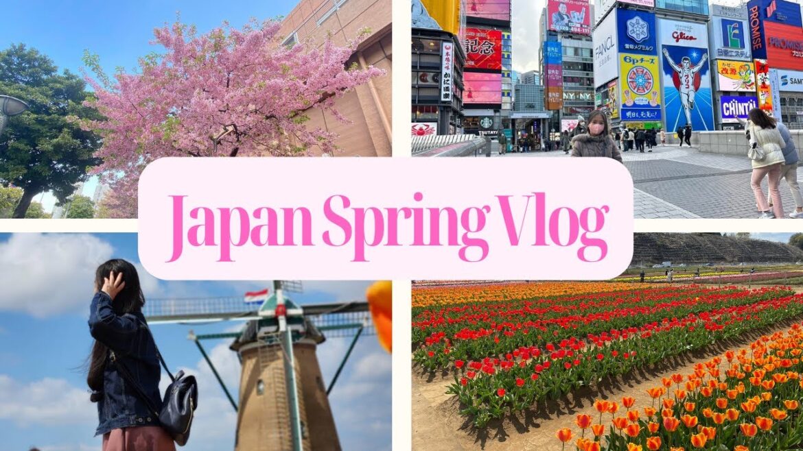 Enjoying Spring in Japan🎌