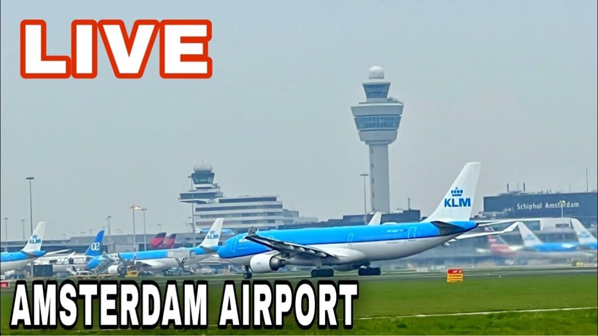 🔴 Windy and Rainy Amsterdam Airport LIVE | Amsterdam Schiphol Airport Plane Spotting ✈️