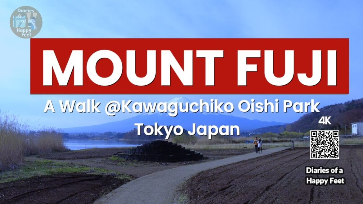 Diaries of a Happy Feet : 🗻 Visiting Mount Fuji - A Walk @Kawaguchiko Oishi Park Tokyo Japan 🗾 [4K]