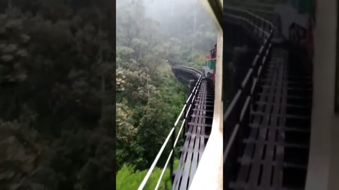 #shorts ❤️ Train travel places in sri lanka  💕👆 #youtubeshorts #travel