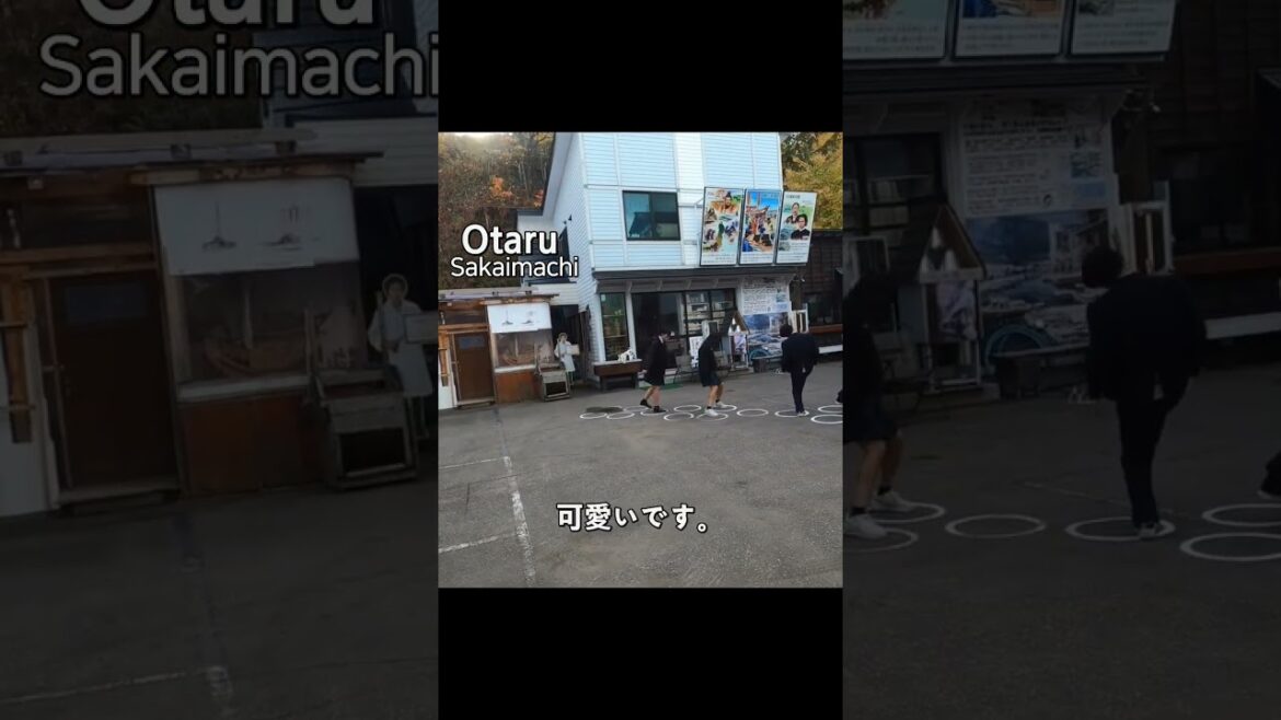 高校生の青春ロマンス ロマンチックなデート