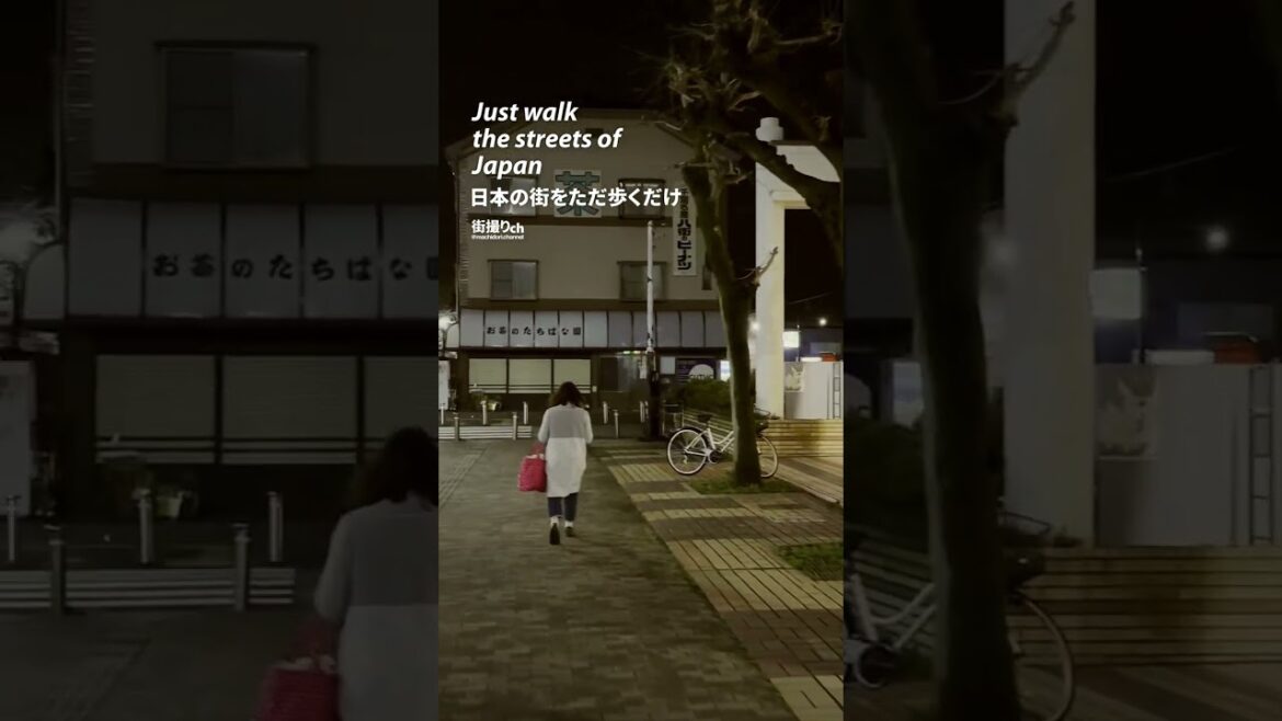 Chiba: Nishi Shiroi Station (西白井駅) - Japan Walking Tour #shorts #shortsvideo