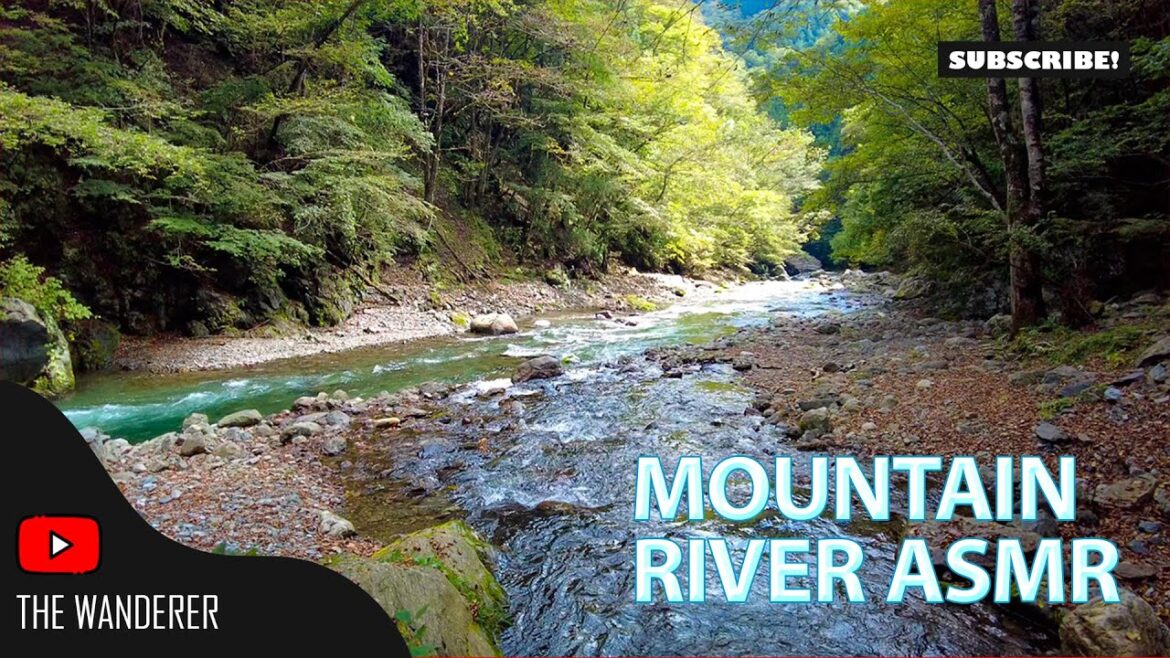 Relaxing Sound of Mountain River / Japanese Countryside / ASMR / Japan / Okutama River