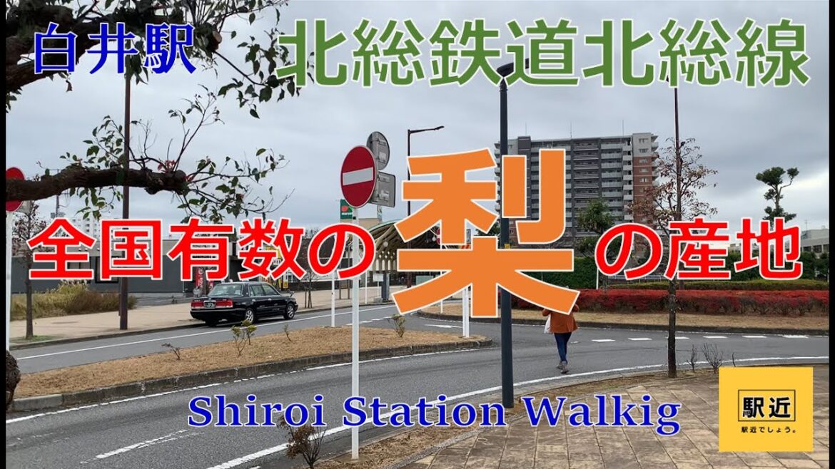 【白井駅】周辺を散策!千葉県白井市【ShiroiStation Walking in Chiba】2022/12 【白井駅】周辺を散策!千葉県白井市【ShiroiStation Walking in Chiba】2022/12