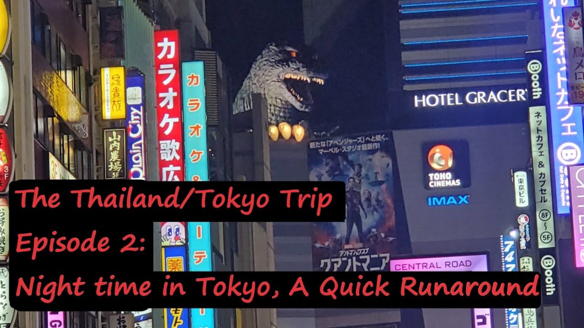 Night time in Tokyo, A Quick Runaround | The Thailand (+Tokyo) Trip - Ep 2