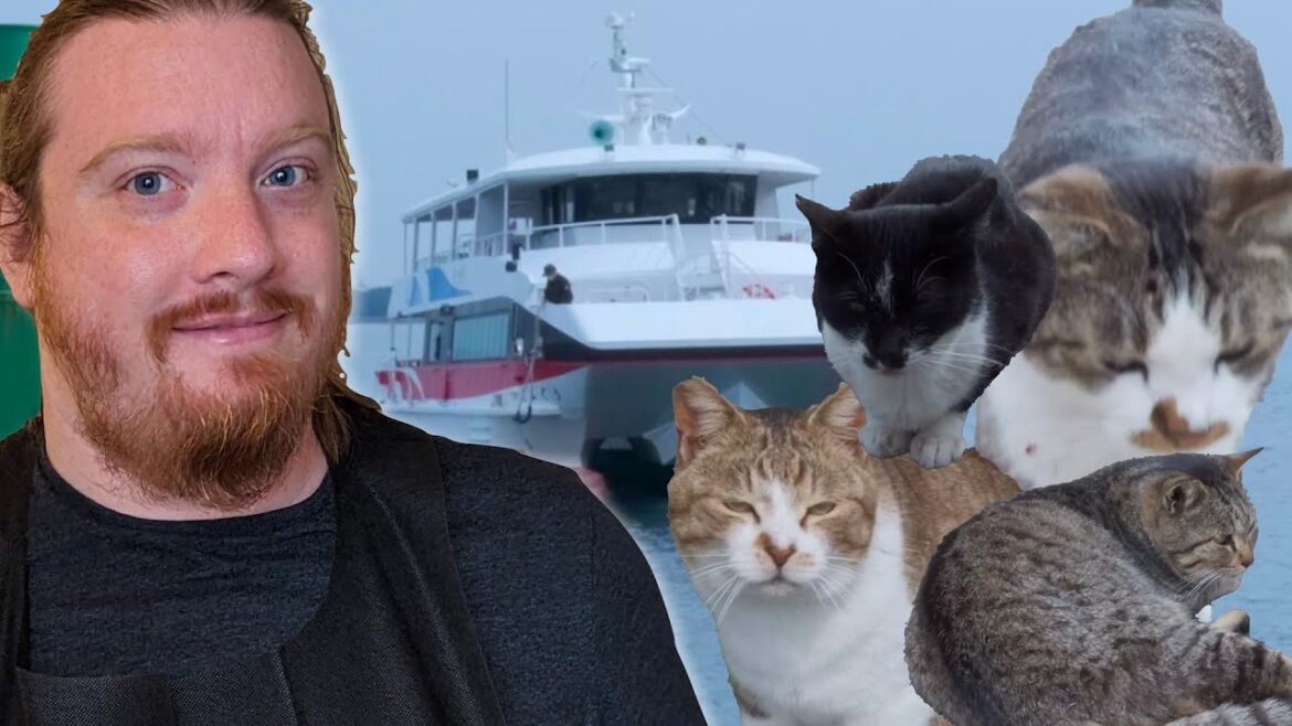 How to get to Ainoshima! Japan’s Cat Island, Fukuoka 猫好き必見!#猫 #Japan #travel #trending #anime How to get to Ainoshima! Japan's Cat Island, Fukuoka 猫好き必見!#猫 #Japan #travel #trending #anime