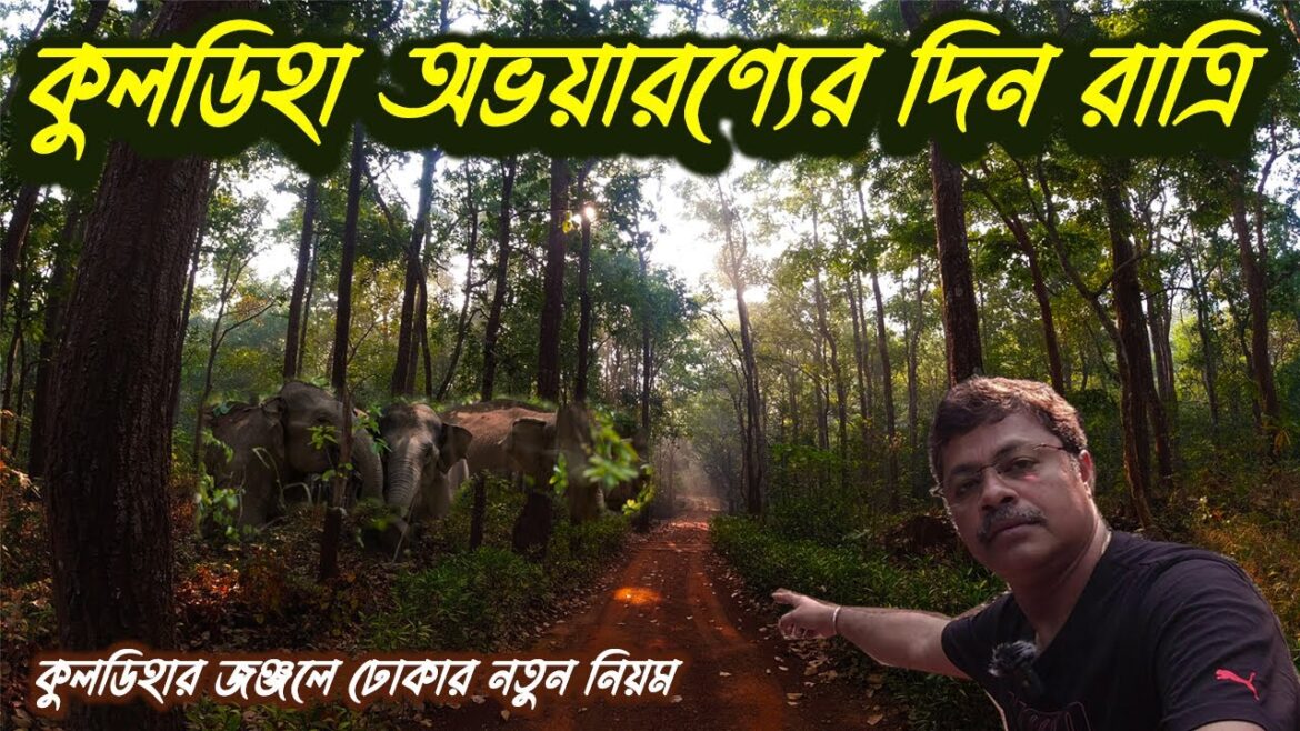 কুলডিহা অভয়ারণ্যে একদিন থাকার অভিজ্ঞতা // Kuldiha Wildlife Santuary #explorerkumarjit #kuldiha কুলডিহা অভয়ারণ্যে একদিন থাকার অভিজ্ঞতা // Kuldiha Wildlife Santuary #explorerkumarjit #kuldiha
