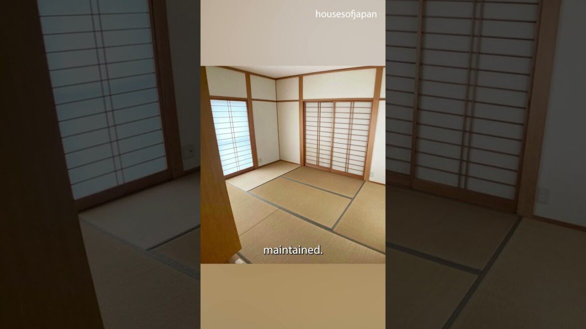 The Best Cheap Home in Japan 🎌 at Kumamoto prefecture ?