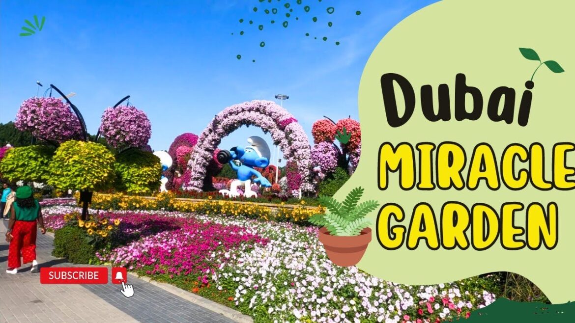 Dubai Miracle Garden || The world’s largest natural flower garden #dubai #miraclegardendubai #2023