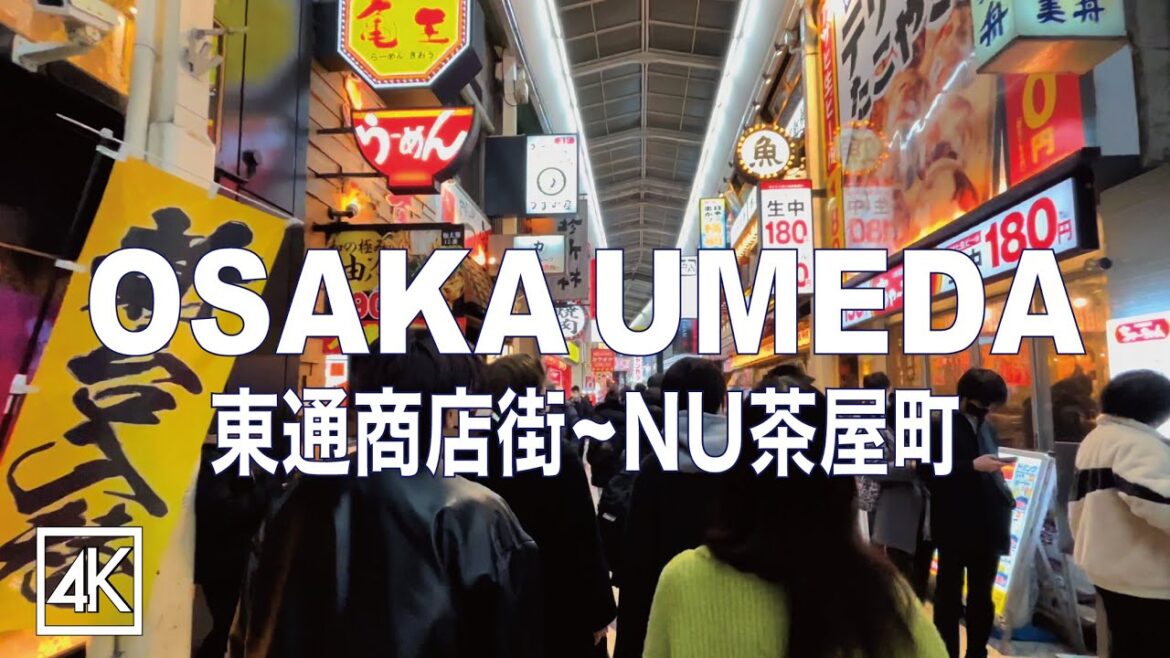 東梅田 阪急東通商店街・NU茶屋町散歩 4K 東梅田 阪急東通商店街・NU茶屋町散歩 4K