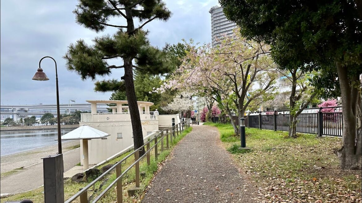 Travel to odaiba city Tokyo