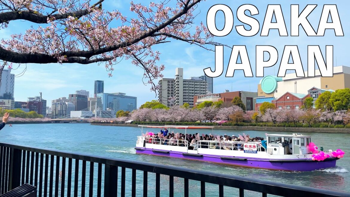 【4K】Cherry Blossoms in Osaka | JAPAN 2023 【4K】Cherry Blossoms in Osaka | JAPAN 2023