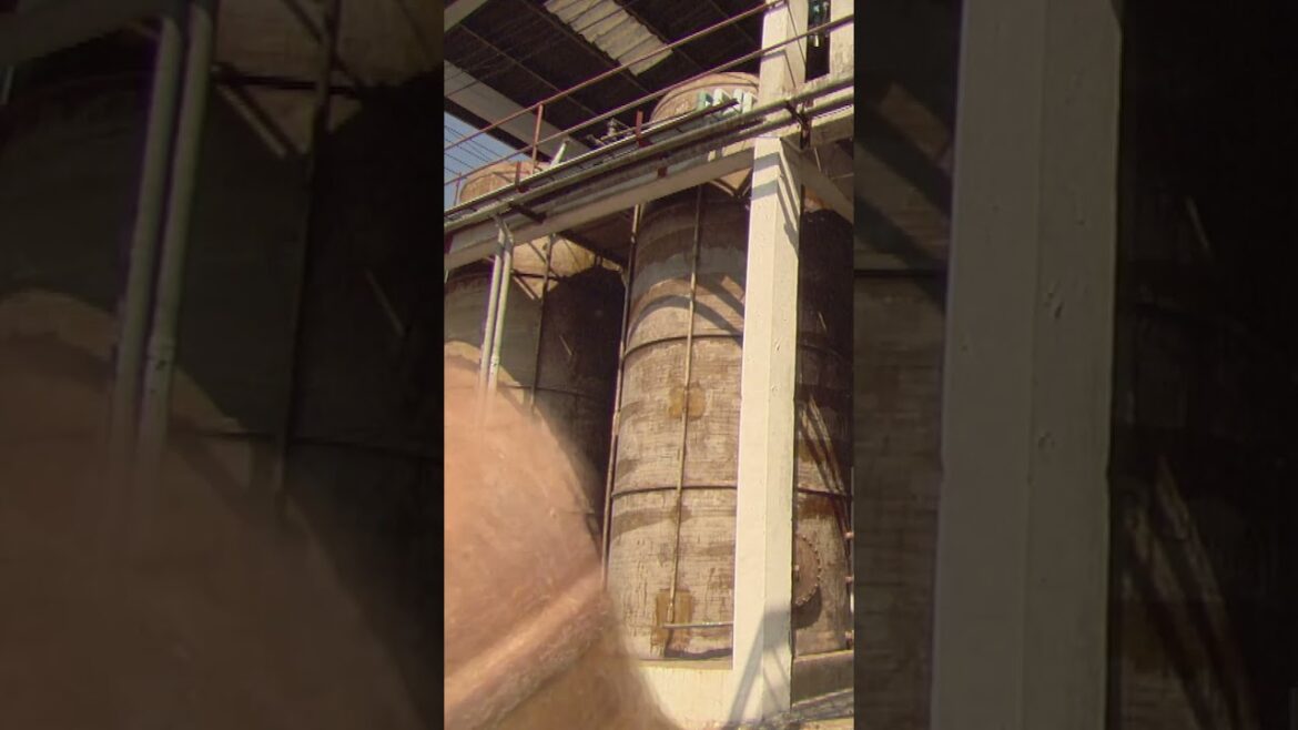 Only 1% of Japan’s soy sauce is made with the traditional barrel aging method. #soysauce #howitsmade