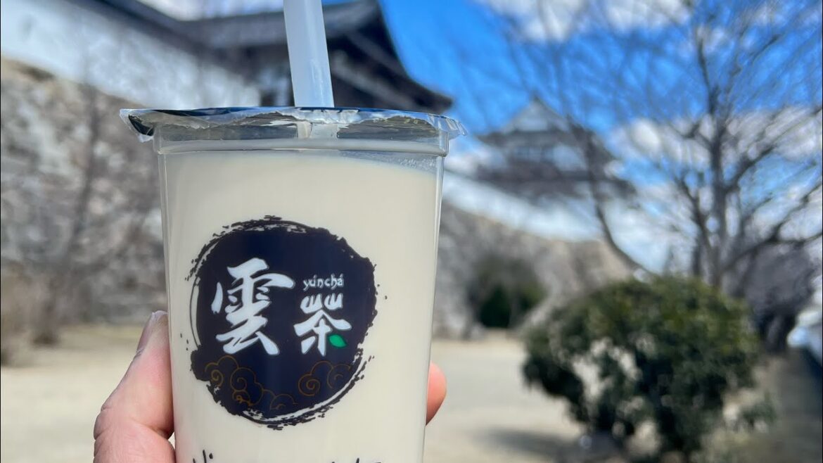 #58 WALK IN FUKUYAMA HIROSHIMA | FANVLOG #58 WALK IN FUKUYAMA HIROSHIMA | FANVLOG