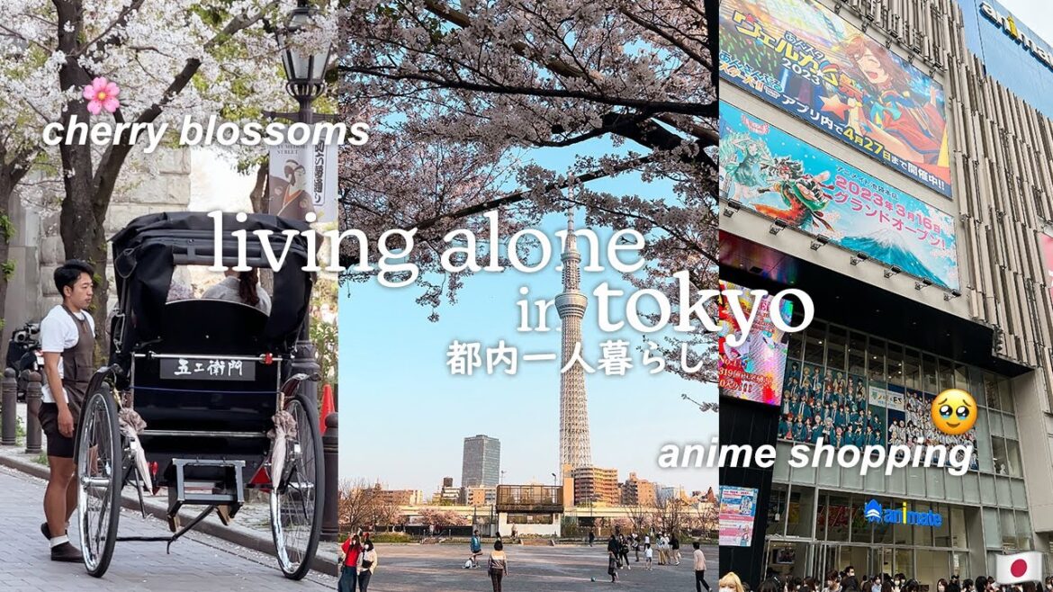 life in japan / top cherry blossom festivals in tokyo + world's biggest anime store 😱