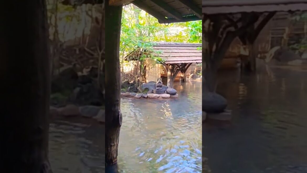 일본 분위기 미친 료칸 #fukuoka #travel #japan #일본여행