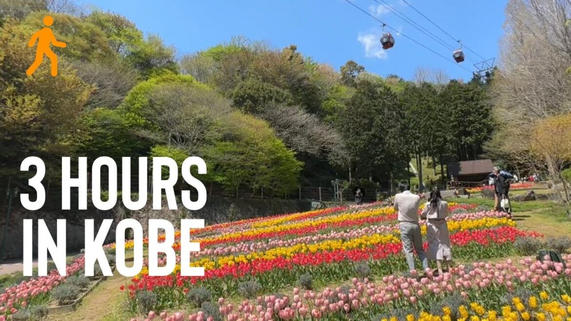 Kobe Japan – 3 Hour Walking Tour – Explore with me! Kobe Japan - 3 Hour Walking Tour - Explore with me!