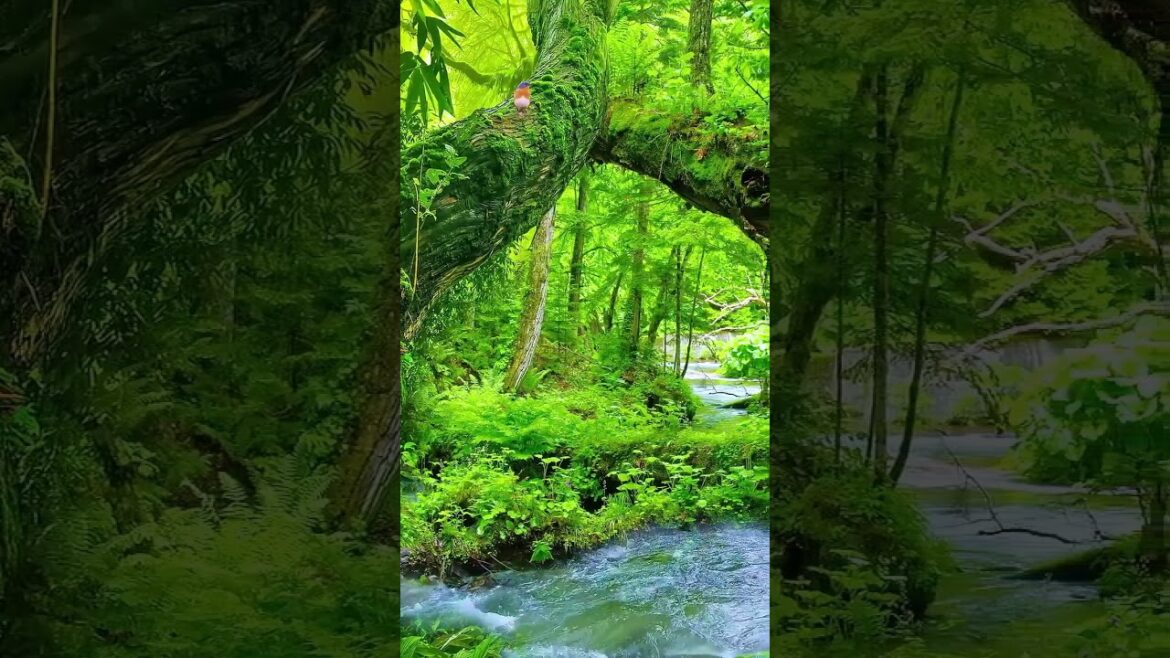 Dense jungle can’t escape 😮 #shorts #shortvideo #viral #short #ytshorts