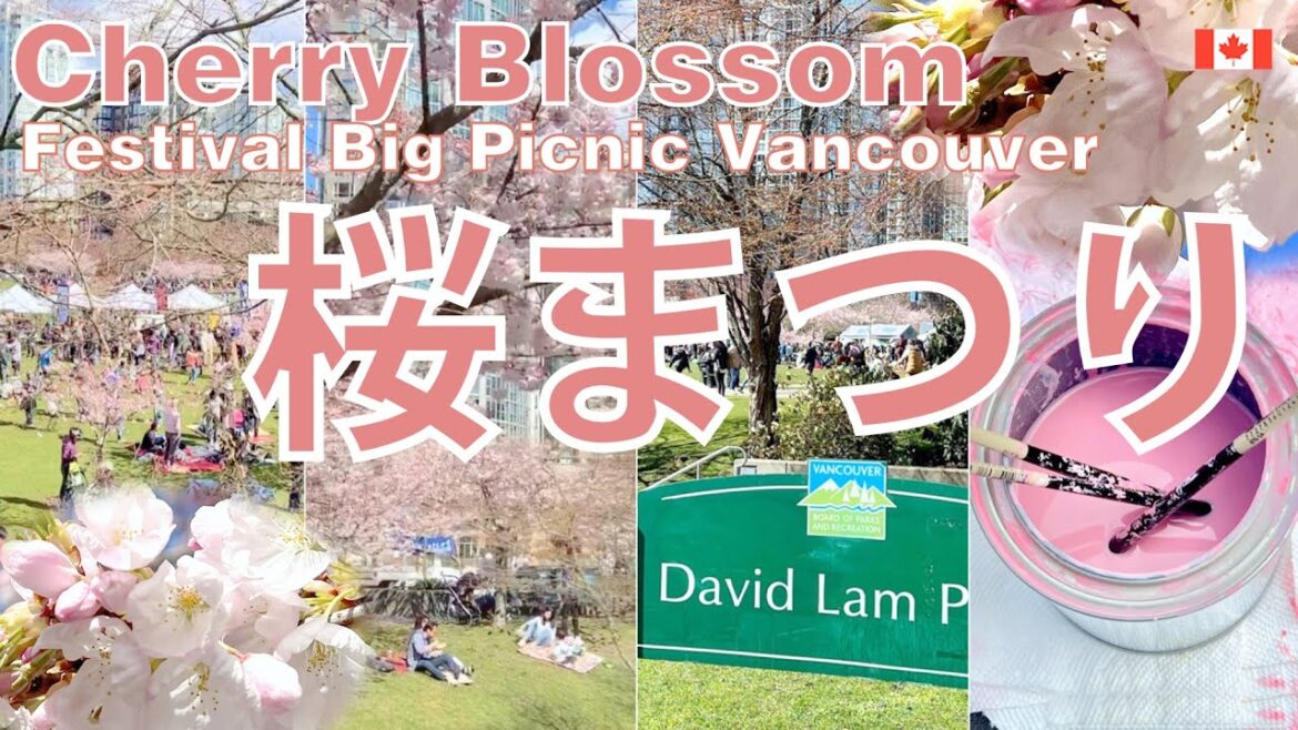Vancouver Cherry Blossom Festival Sakura – Big Picnic Vancouver, British Columbia 🇨🇦 Vancouver Cherry Blossom Festival Sakura - Big Picnic Vancouver, British Columbia 🇨🇦