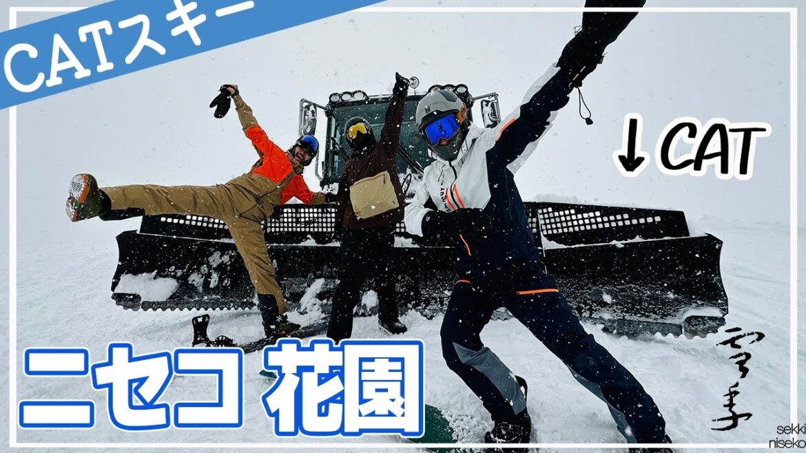 【CAT】ニセコワイスパウダーCATを体験してきました！