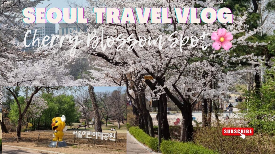 Chasing Cherry Blossom at Children’s Grand Park (어린이대공원) 🌸