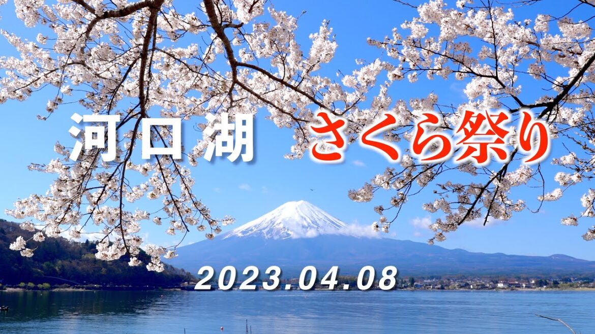 2023.04.08 富士・河口湖 さくら祭り [4K] 12th Fuji-Kawaguchiko Sakura Festival / Cherry Blossoms & Mt.Fuji